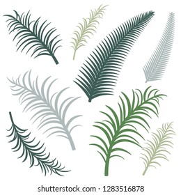 Different versions of palm branches. Vector image. Eps 10