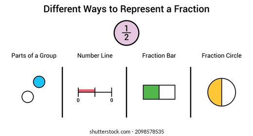 Different ways to represent a fraction in mathematics. Parts of group, number line, fraction bar and fraction circle of one half