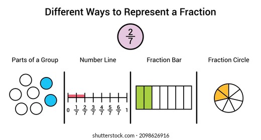 Different ways to represent a fraction in mathematics. Parts of group, number line, fraction bar and fraction circle of two sevenths