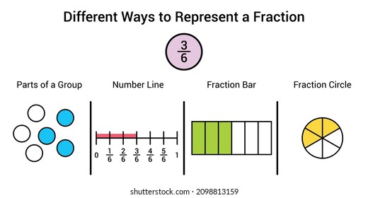 Different ways to represent a fraction in mathematics. Parts of group, number line, fraction bar and fraction circle of three sixths