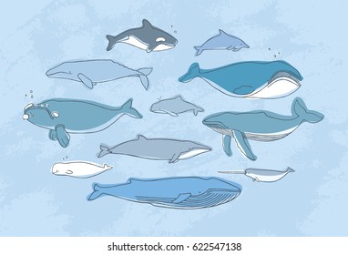 Different whale set. Hand drawn doodle illustration collection.