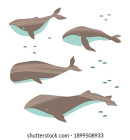 Different whales set. Ocean animals in trendy flat style. Hand drawn marine mammals with decorative dry brush texture. Vector illustration isolated on white background.