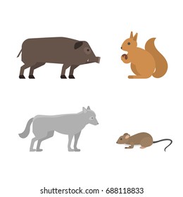 Different wild animals dangerous vertebrate canine characters large predator vector illustration.