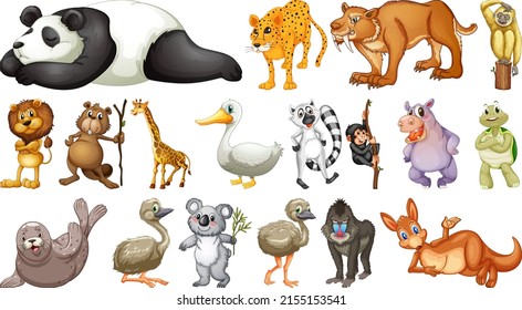 Different wild animals on white background illustration