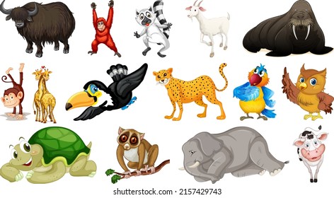 Different wild animals on white background illustration