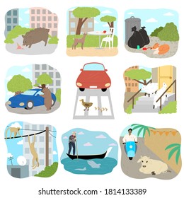 Different wild and farm animals exploring city vector illustration