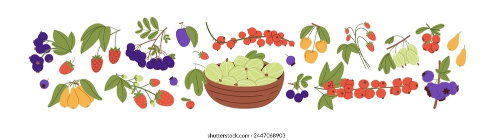 Different wild and garden juicy berries set. Ripe branches of strawberry, red currant, blueberry, raspberry with leaves. Gooseberry in basket. Flat isolated vector illustration on white background