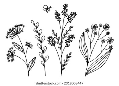 Different wildflowers and herbs with a bee. Hand drawn botanical flowers and leaf vector with bee