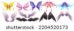 Different wings of fairy, butterfly, bird, angel with black and white feathers. Vector cartoon set of wings pairs of magic and fantasy characters and animals isolated on white background
