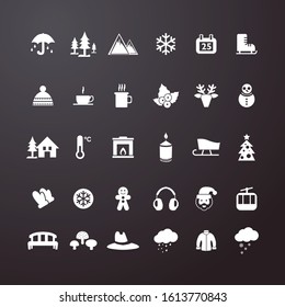 Different winter icons. Solid icons of season of the year. Editable vector.