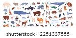 Different world animals set. Cute childish fauna, wildlife. Wild land and sea mammals, birds. Various bears, whale, kangaroo species. Flat graphic vector illustrations isolated on white background