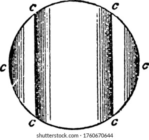 In a Differential Lens, horizontal divergence may be obtained to any required amount by varying the radius of curvature of the inner face of an annular lens and the outer face is the same.