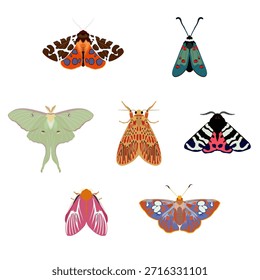Diferentes especies de polillas Vector