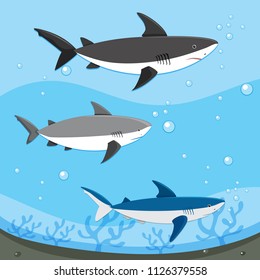 Diffrent Sharks Swimming Underwater illustration