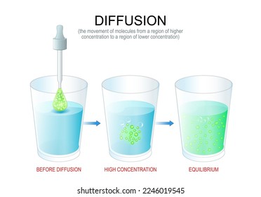 Diffusion. Experiment mit Wasser in Brillen, Pipette mit Farbe und Lösung. Die Bewegung von Molekülen aus einer Region mit höherer Konzentration in eine Region mit niedrigerer Konzentration. Diffusionsprozess 