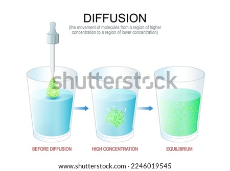 Diffusion. experiment with water in glasses, pipette with dye and solution. The movement of molecules from a region of higher concentration to a region of lower concentration. Process of diffusion  Photo stock © 