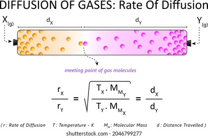 Diffusion Of Gases: Rate Of Diffusion 