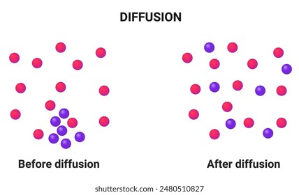 Diffusion: particle model of diffusion