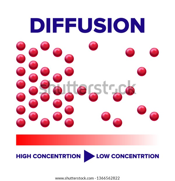 Diffusion Physics Process Vector Info Poster Stock Vector (royalty Free 