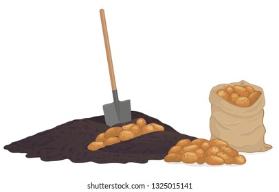 Dig potatoes from the ground. Shovel. A pile of soil and potatoes. A bag of potatoes. Potato digging time in autumn, gardening, harvest time concept