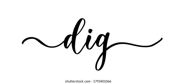 Dig - vector calligraphic inscription with smooth lines.