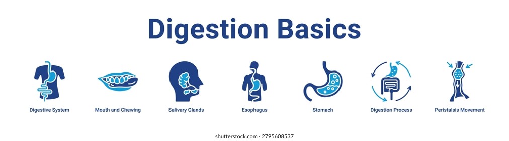 -Digestion Basics icon banner and collection
