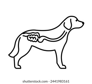 Digestion of dog, line icon. Canine esophagus, stomach, intestine. Veterinary, dog anatomy, canine surgery, first aid, vet clinic, emergency. Linear illustration, editable strokes, vector pictogram