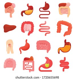 Iconos de digestión establecidos. Conjunto de dibujos animados iconos vectoriales de digestión para el diseño web