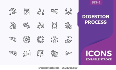 Digestion Process linear icon collection. It contains symbols to anatomy, digest, immunity, health and more. Digestion vector icon set. Pixel perfect. Minimalist vector illustration.