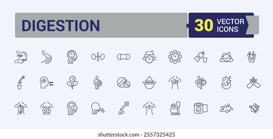 Digestion thin line icon set. Contains such icons as lacto, anatomy, digest, diarrhea, flora and more. Simple line vector. Vector illustration in modern line style.