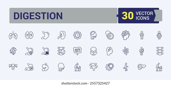 Digestion thin line icon set. Contains such icons as lacto, anatomy, digest, diarrhea, flora and more. Simple line vector. Vector illustration in modern line style.