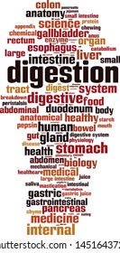 Digestion word cloud concept. Collage made of words about digestion. Vector illustration 
