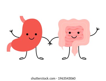 Digestive Cute Healthy Happy Stomach And Intestine Gut Characters. Connection, Unity Of Stomach And Intestine Gut. Health Digestive Tract, Colon, Bowel Concept. Vector Flat Cartoon Illustration