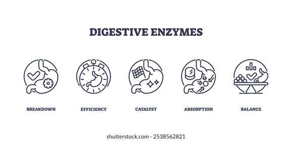 Verdauungsenzyme sind mit Symbolen illustriert, die Aufschlüsselung, Effizienz und Gleichgewicht zeigen. Symbole für Umrisse festgelegt.