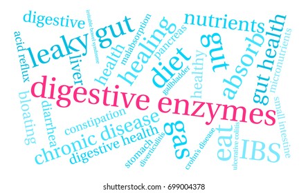 Digestive Enzymes word cloud on a white background. 