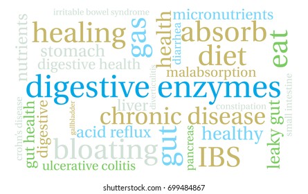 Digestive Enzymes Word Cloud On A White Background. 