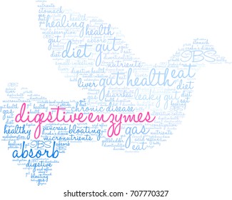 Digestive Enzymes word cloud on a white background. 