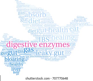 Digestive Enzymes word cloud on a white background. 