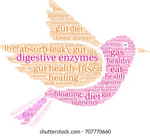 Digestive Enzymes word cloud on a white background. 