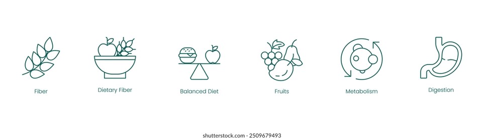 Ícones Digestivos de Saúde e Nutrição: Fibra, Fibra Dietética, Dieta Equilibrada, Frutas, Metabolismo e Digestão