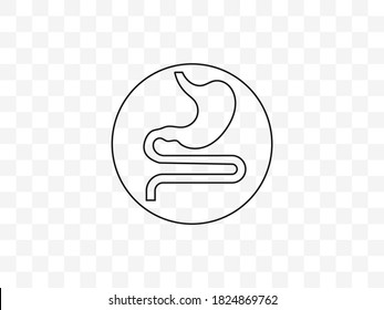 Digestive, organ, stomach icon. Vector illustration.