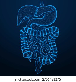 Digestive organs network. The concept symbolizes medical technologies, biological research, body diagnostics, gastroenterology, as well as digital medicine and analysis of human body data.