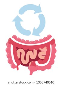 digestive system anatomy with arrows around
