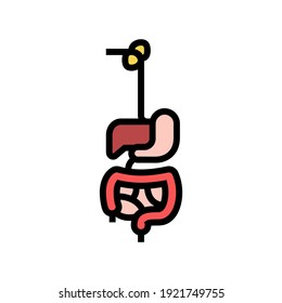 Farbsymbol des Verdauungssystems, Vektorgrafik. Schild des Verdauungssystems. einzelne Symbolillustration