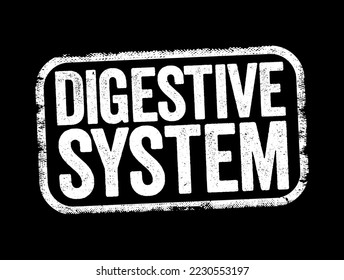 Das Digestive System besteht aus dem Magen-Darm-Trakt und den Nebenorganen der Verdauung, Text-Stempel-Konzept Hintergrund