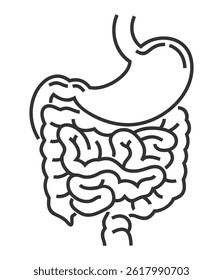 Ícone anatômico humano do sistema digestivo em linha de negrito - estômago e intestino
