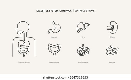 Digestive system and human internal organ body icon set for medical education. Anatomy intestine section health science graphic icons for infographic or disease biology information treatment.