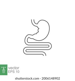 Digestive system, Human internal vital organ include intestine and stomach for food processing. Anatomy digestion. Thin line medical infographic Vector illustration Design on white background EPS10