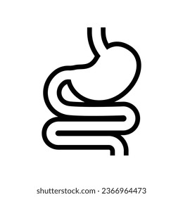 Digestive system, Human stomach and gastrointestinal system Infographic. Vital organ. Stomach, gastric and Colon tract as internal organ. Vector illustration design.