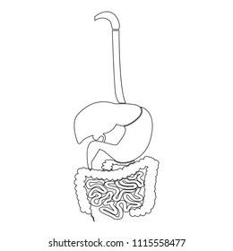 Digestive system icon black color